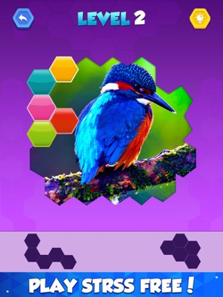 Jigsaw Hexa Puzzle Art Image