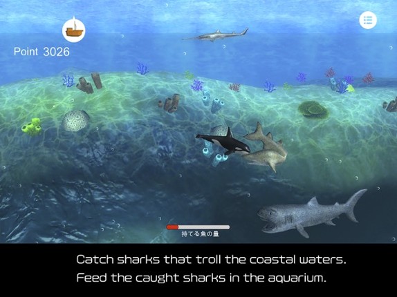 Orca and marine mammals screenshot