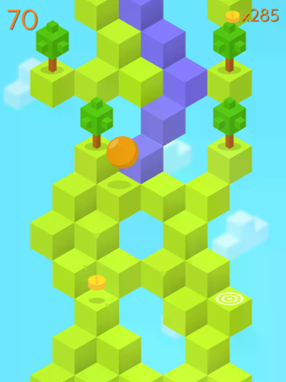 Qubes Image