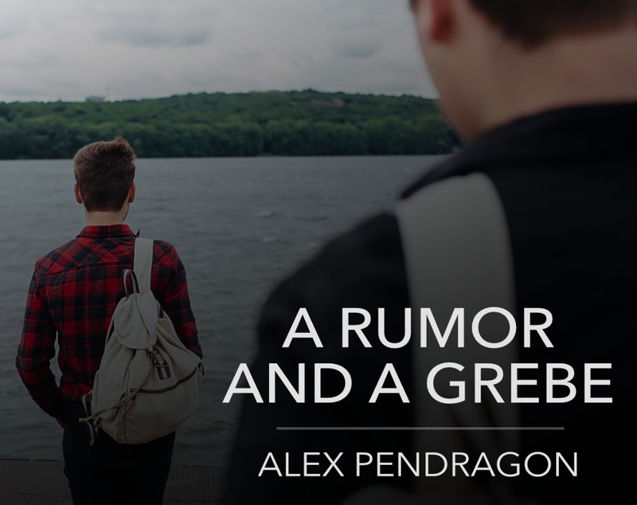 Games like A Rumor And A Grebe