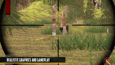 Animals Shooting Sniper Image