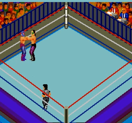 Fire Pro Wrestling: Combination Tag Image