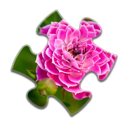 Flower Jigsaw Puzzles Image