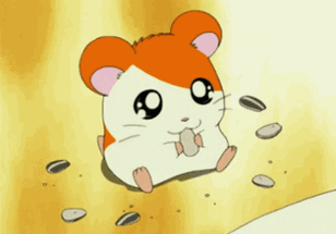 Go! Hamtaro Image