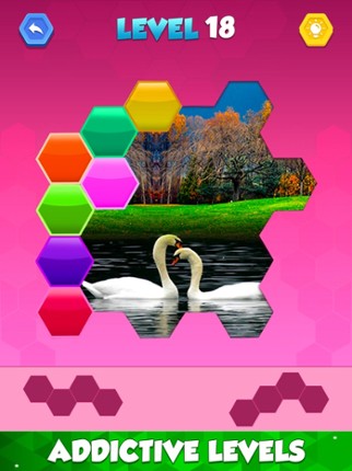 Jigsaw Hexa Puzzle Art screenshot