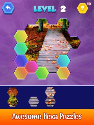 Jigsaw Hexa Puzzle Art Image