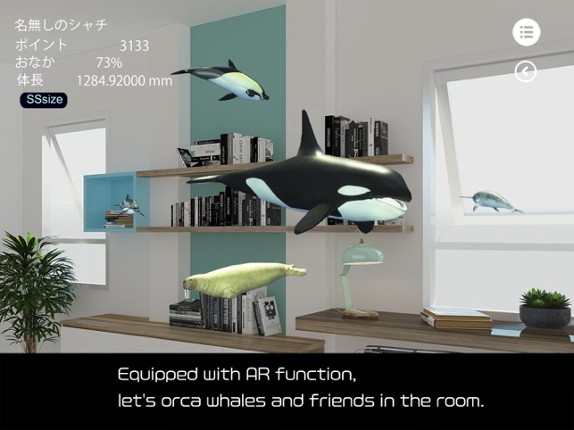 Orca  and marine mammals Image