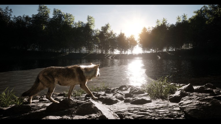 Untamed Kingdom screenshot