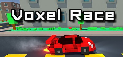 Voxel Race Image