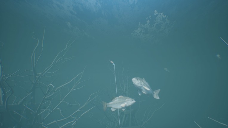 Bassmaster Fishing 2022 screenshot