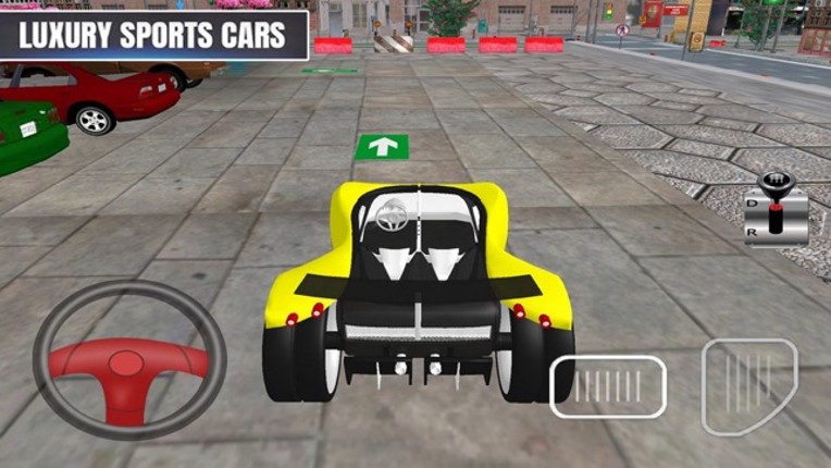 Exciting Levels Parking Car screenshot