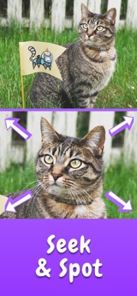 Find The Difference ⁺ screenshot