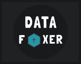 Data Fixer Image