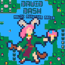 Druid Dash: Magic Mushroom Mania Image