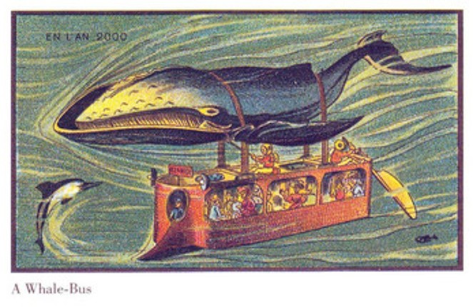 Nugget: Whalemarine Rescue Image