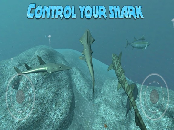 Real Shark Simulator screenshot