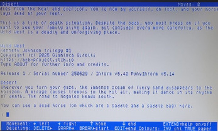 Wild West screenshot