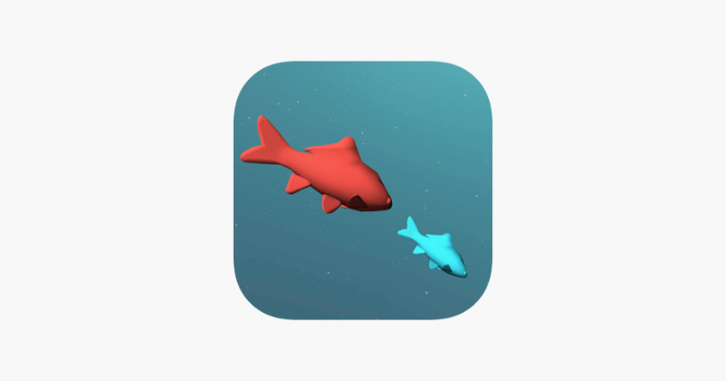 Catch Fish 3D Game Cover