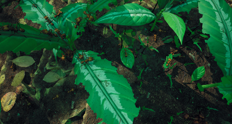 Empires of the Undergrowth Image
