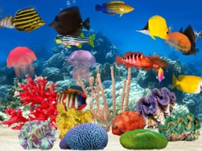 Fish Farm Unlimited Image