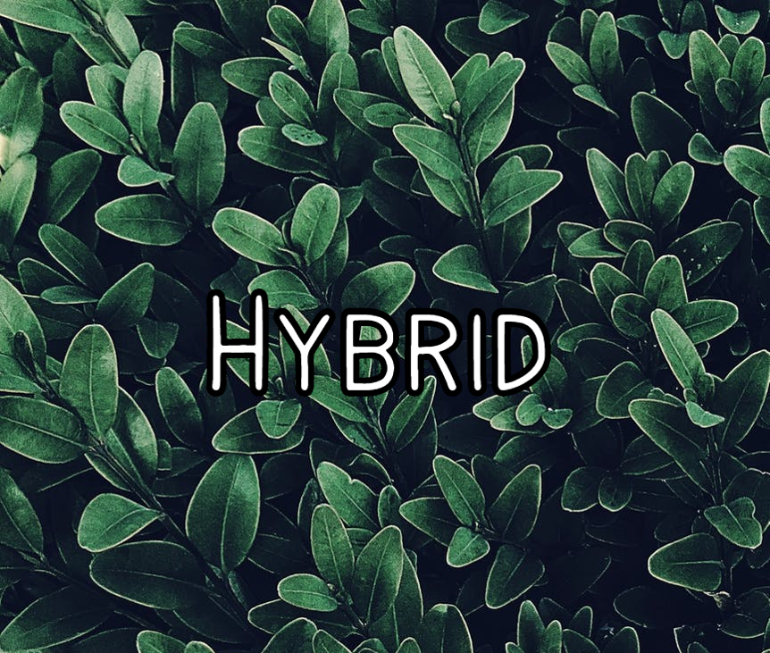 Games like Hybrid