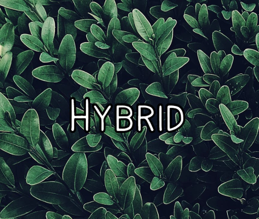 Hybrid Game Cover