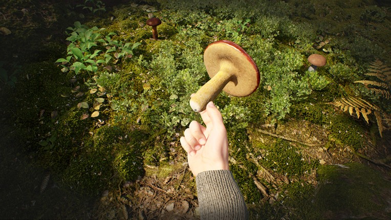 Mushroom Hunter Simulator screenshot