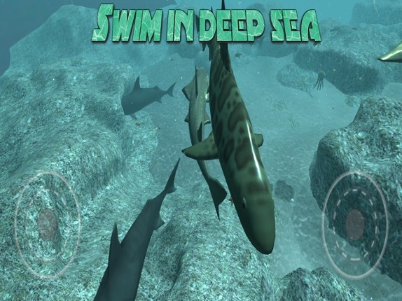 Real Shark Simulator screenshot
