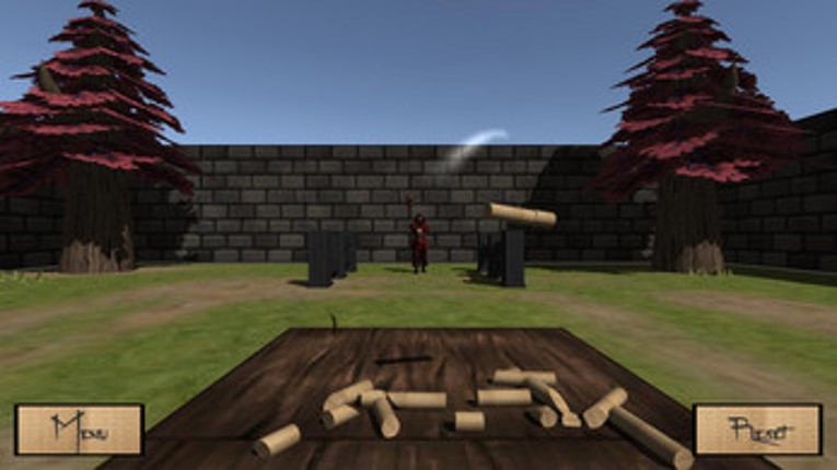 Tatami Samurai Image
