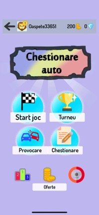 Chestionare Auto Image