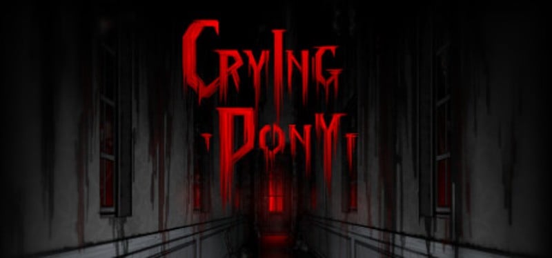 Crying Pony Game Cover