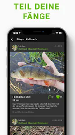 ALLE ANGELN - App für Angler Image