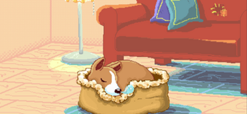 A Corgi At Night Image