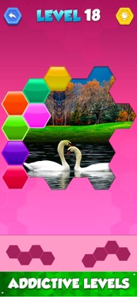 Jigsaw Hexa Puzzle Art screenshot