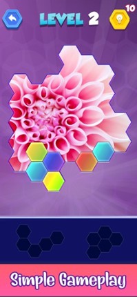 Jigsaw Hexa Puzzle Art Image