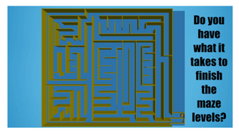 Maze Mania: The Ultimate 3D Maze Game screenshot