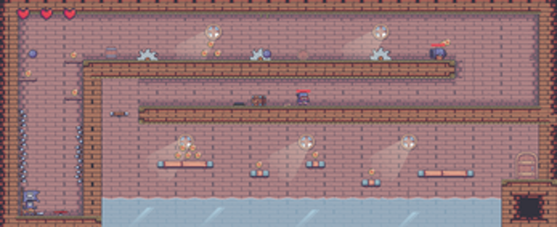 The Last Pirate Image