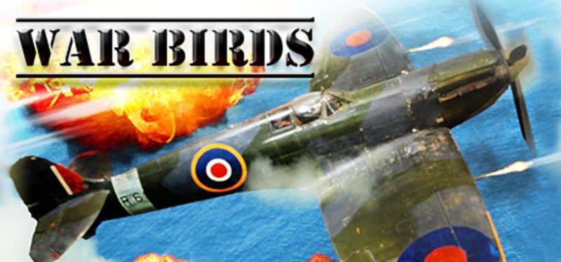 War Birds: WW2 Air strike 1942 Game Cover