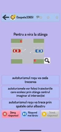 Chestionare Auto screenshot