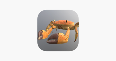 Crab Run Image