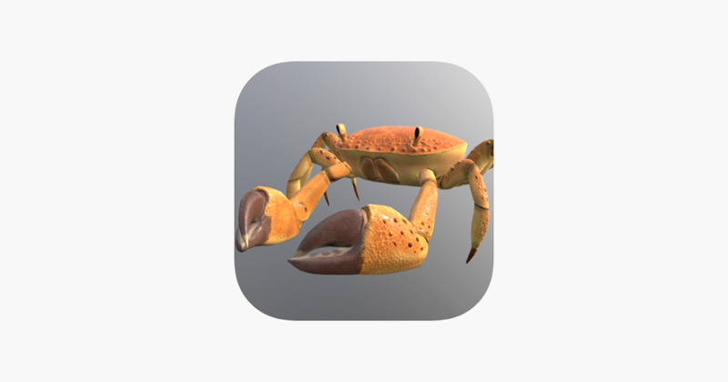 Crab Run Game Cover