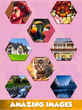 Jigsaw Hexa Puzzle Art Image