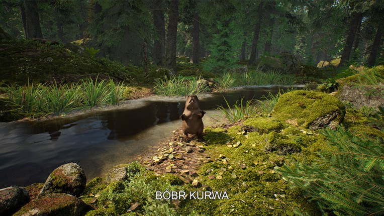 Mushroom Hunter Simulator screenshot