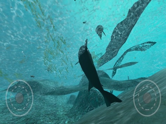 Real Shark Simulator screenshot