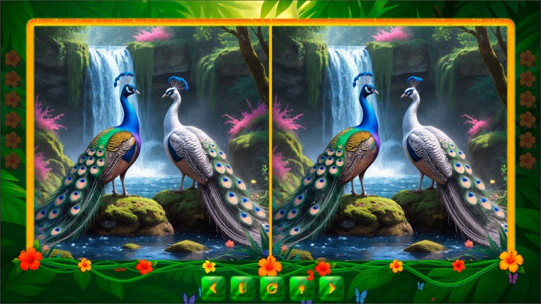 BirdQuest  Find the Difference screenshot