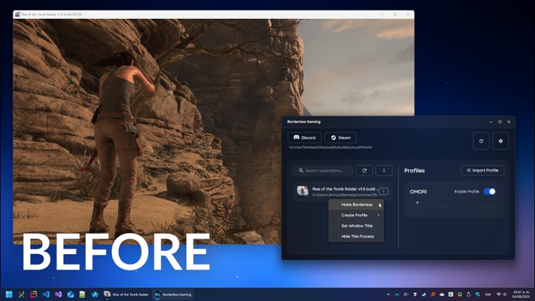 Borderless Gaming screenshot