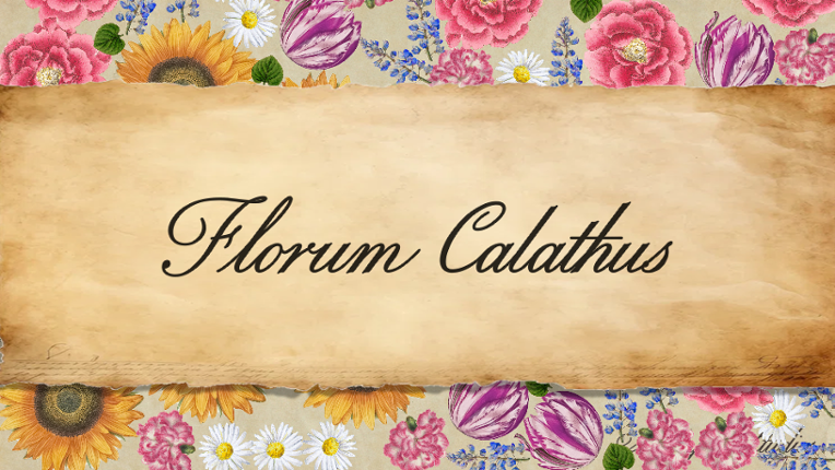 Florum Calathus Image