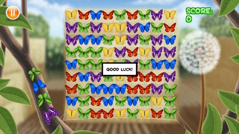 Fluttabyes Image
