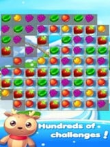 Fruit Splash Adventure Image