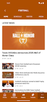 Texas Longhorns Image